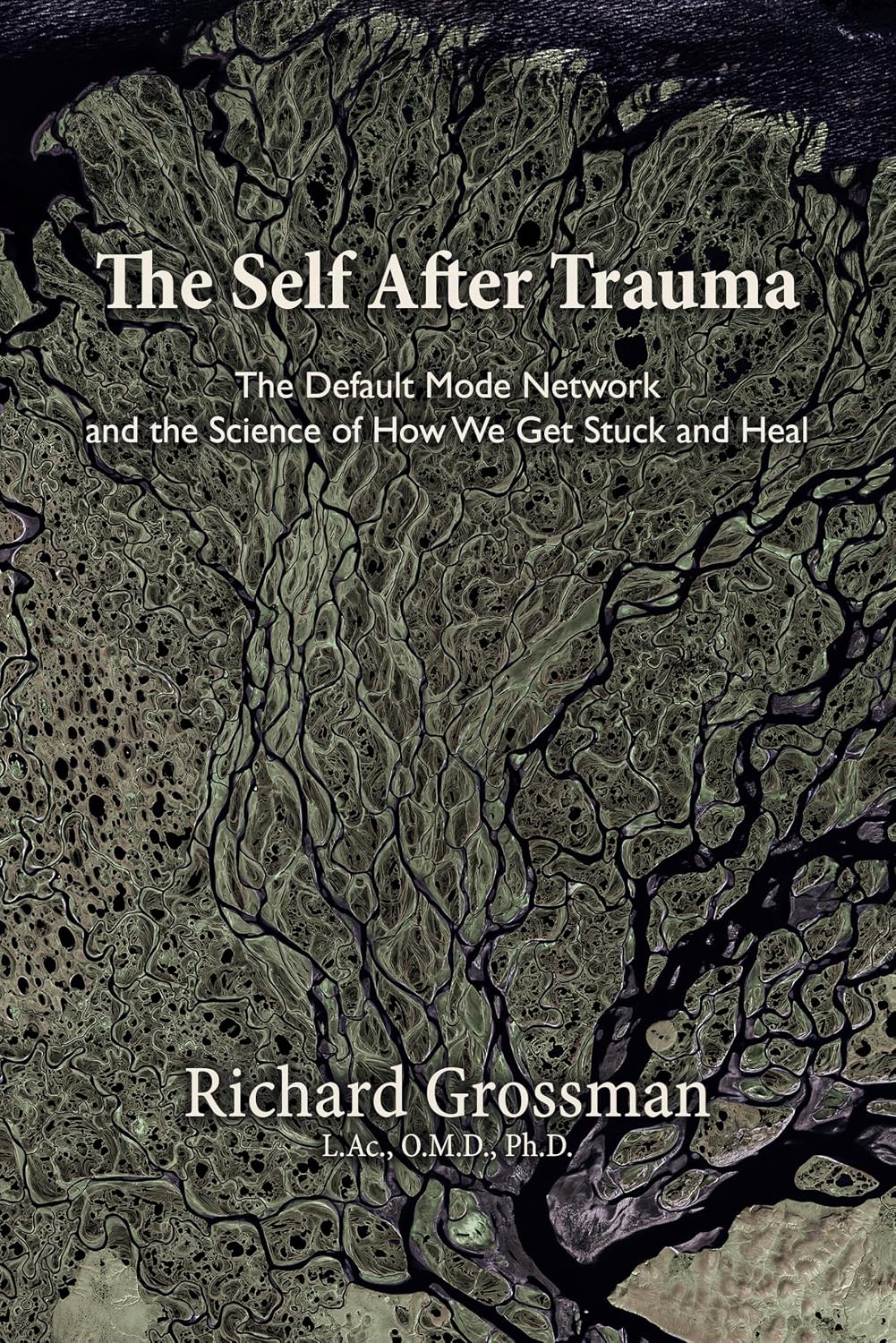 Cover of The Self After Trauma